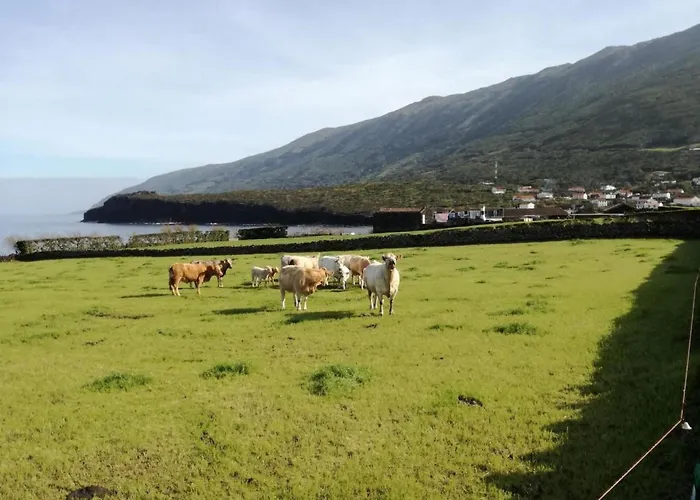 Vinea Lava Mit Blick Auf Wasser By Interhome Dom wakacyjny Canto da Areia